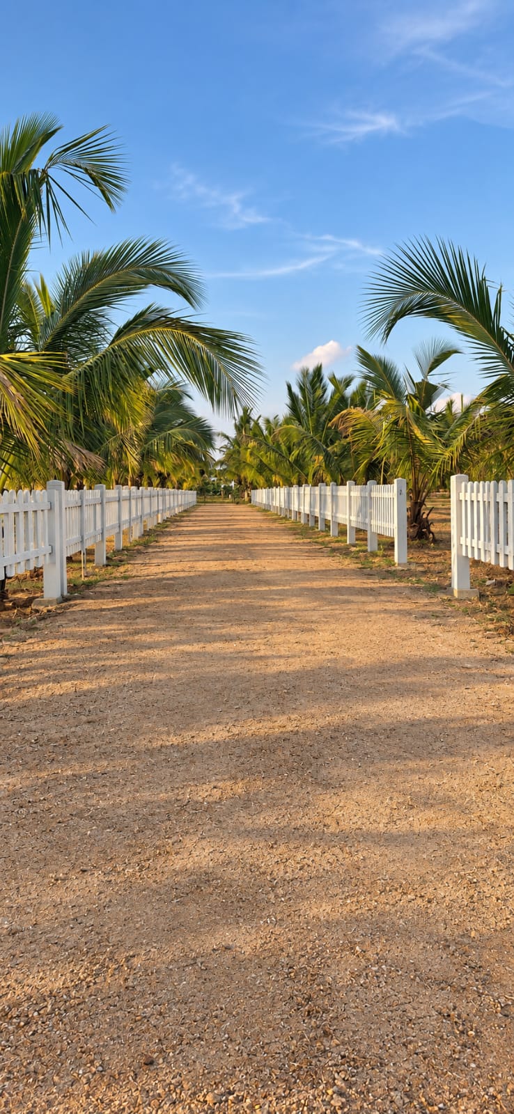 Tree-lined avenue with white fencing at the ECOVARA managed farmland community